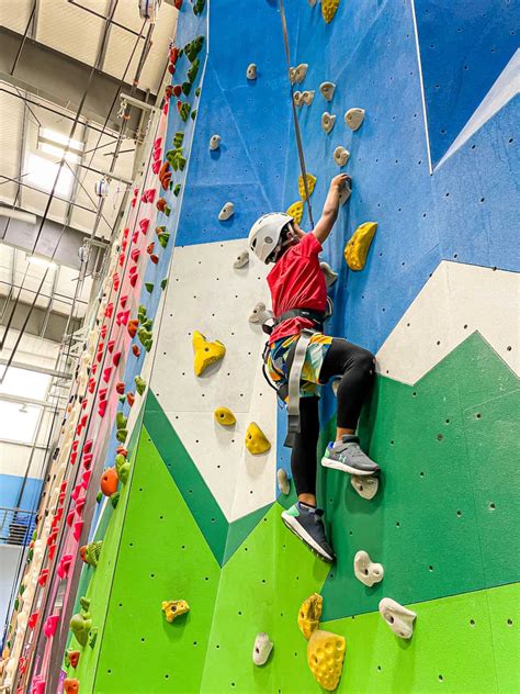 indoor rock climbing wall equipment.